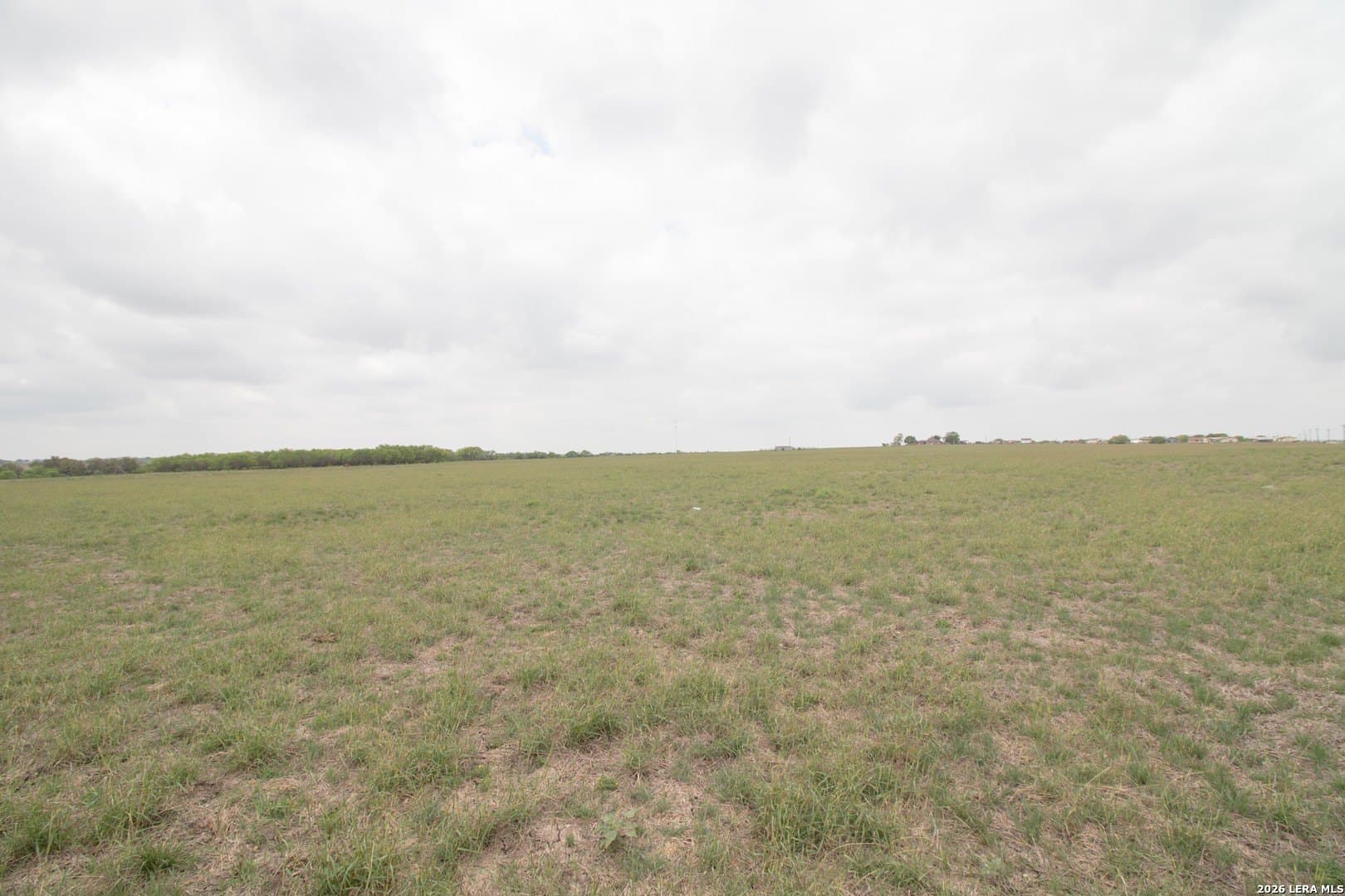 70 acres in Guadalupe County gallery image 3