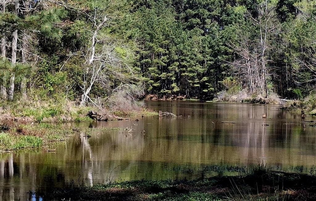 68.82 acres in Cherokee County featured view