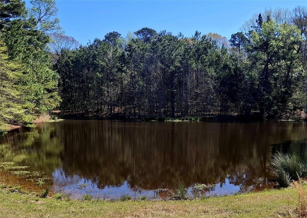 68.82 acres in Cherokee County gallery image 3