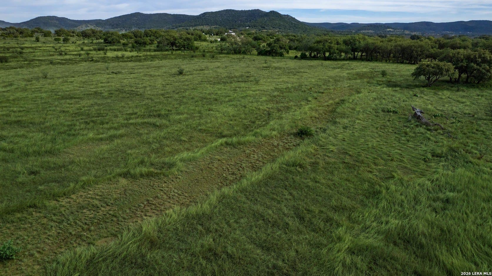 48.2 acres in Real County - photo 13