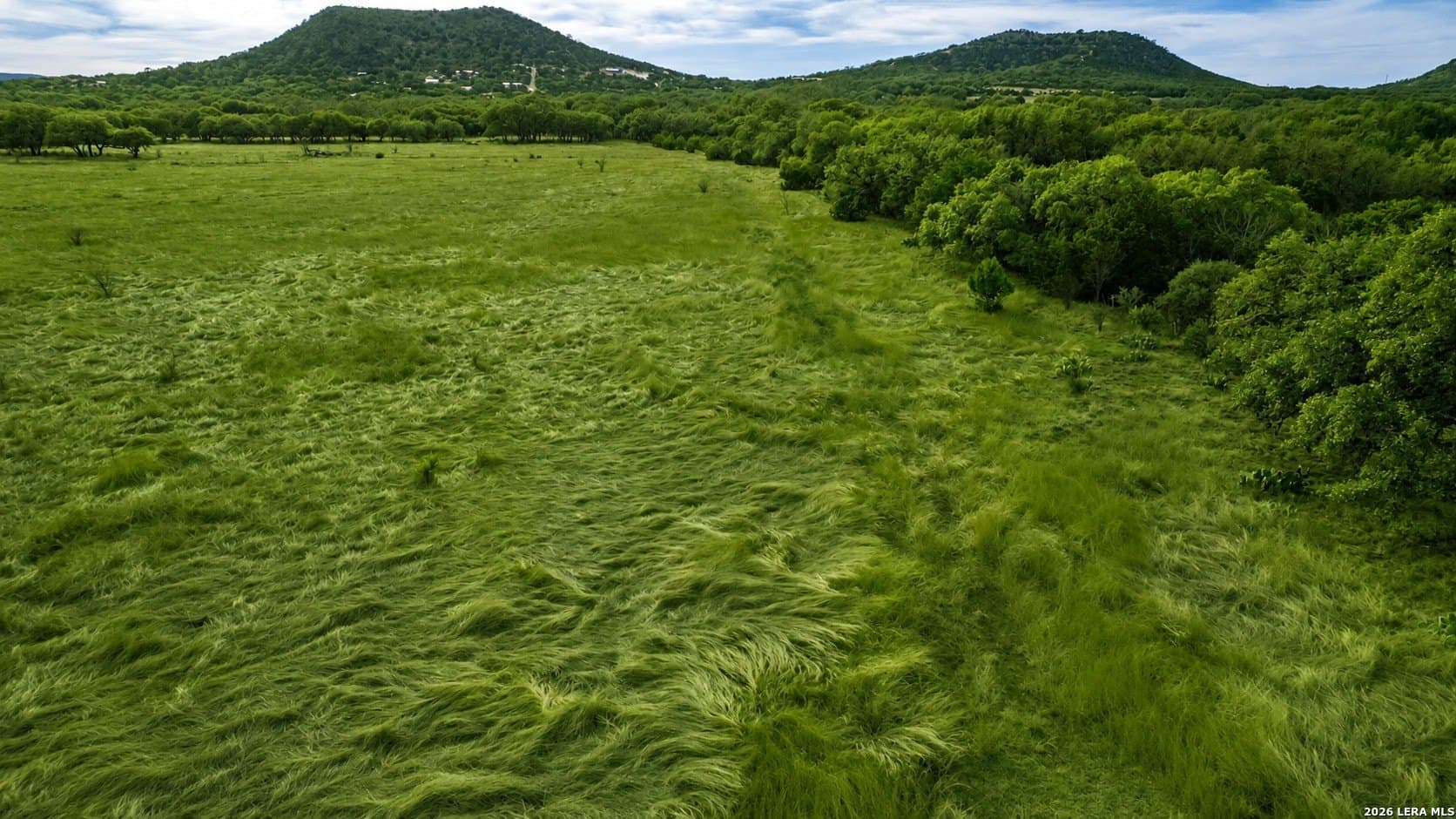 48.2 acres in Real County - photo 12