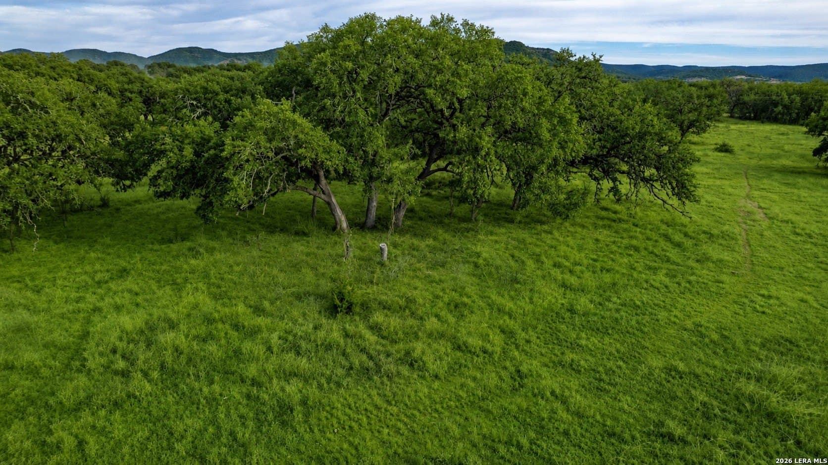 48.2 acres in Real County - photo 4