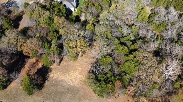 0.24 acres in Grayson County gallery image 2