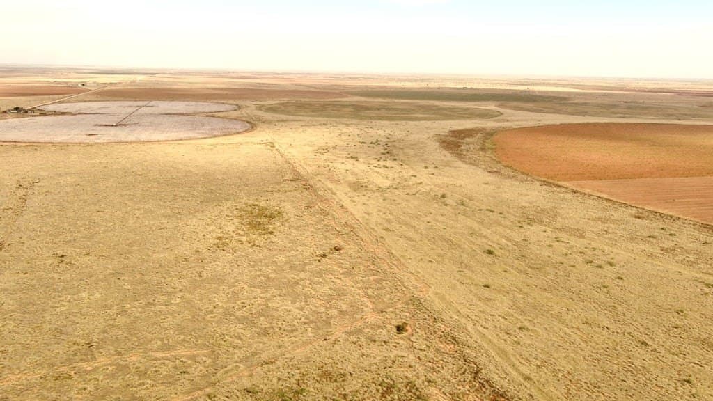 60 acres in Andrews County - photo 6
