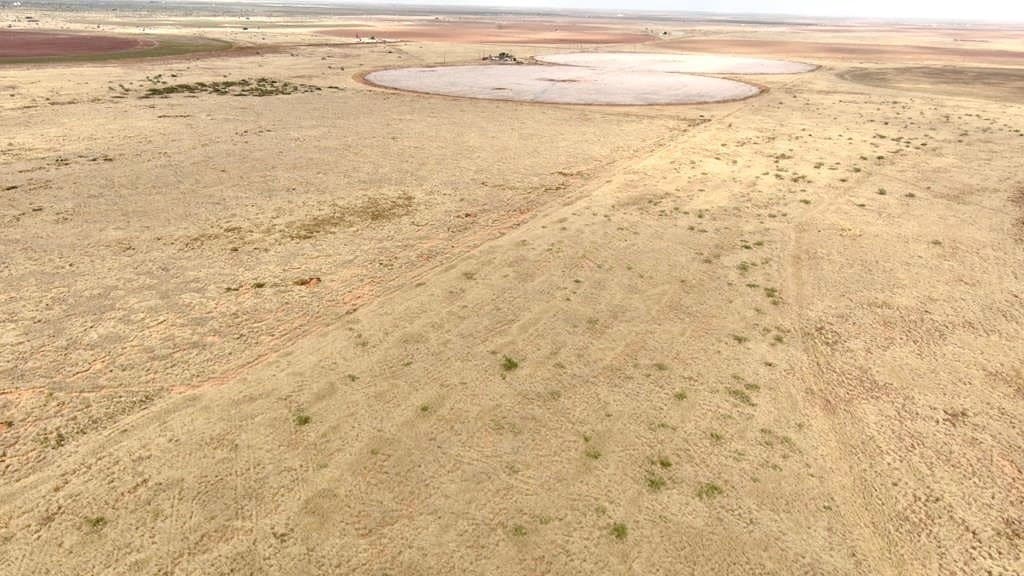 60 acres in Andrews County gallery image 3