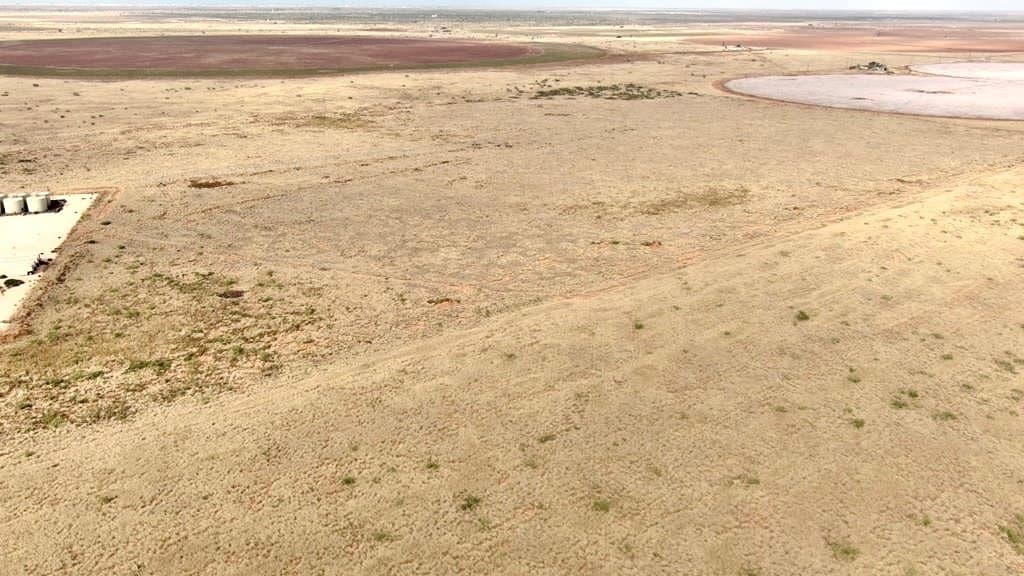 60 acres in Andrews County gallery image 4