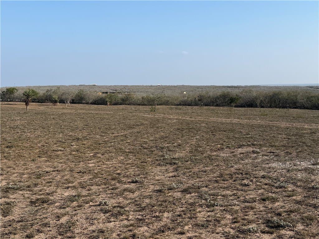 30.6 acres in Live Oak County - photo 9