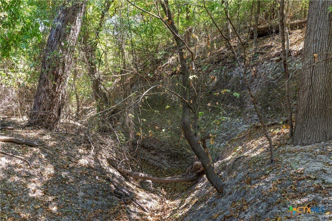 14.5 acres in Coryell County - photo 25