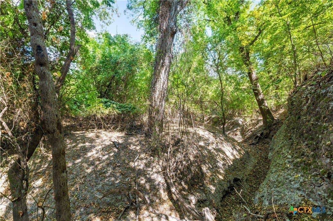 14.5 acres in Coryell County - photo 24
