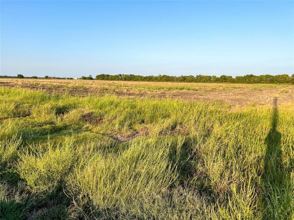 108 acres in Lamar County featured view