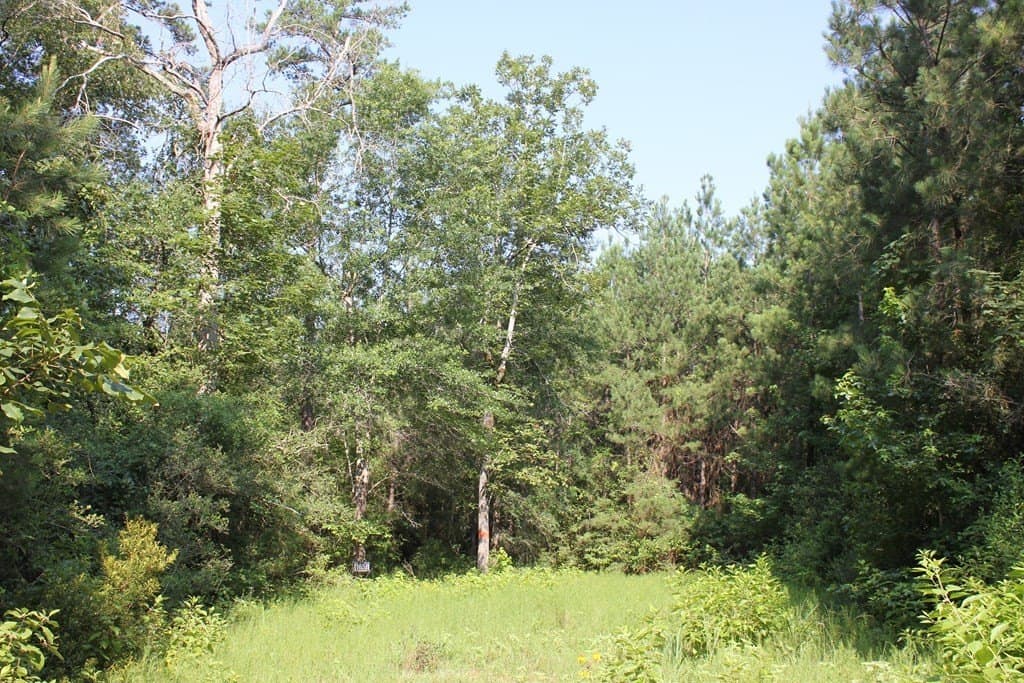 45 acres in Texas County - photo 10