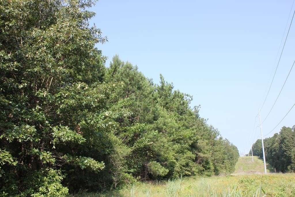 45 acres in Texas County - photo 12