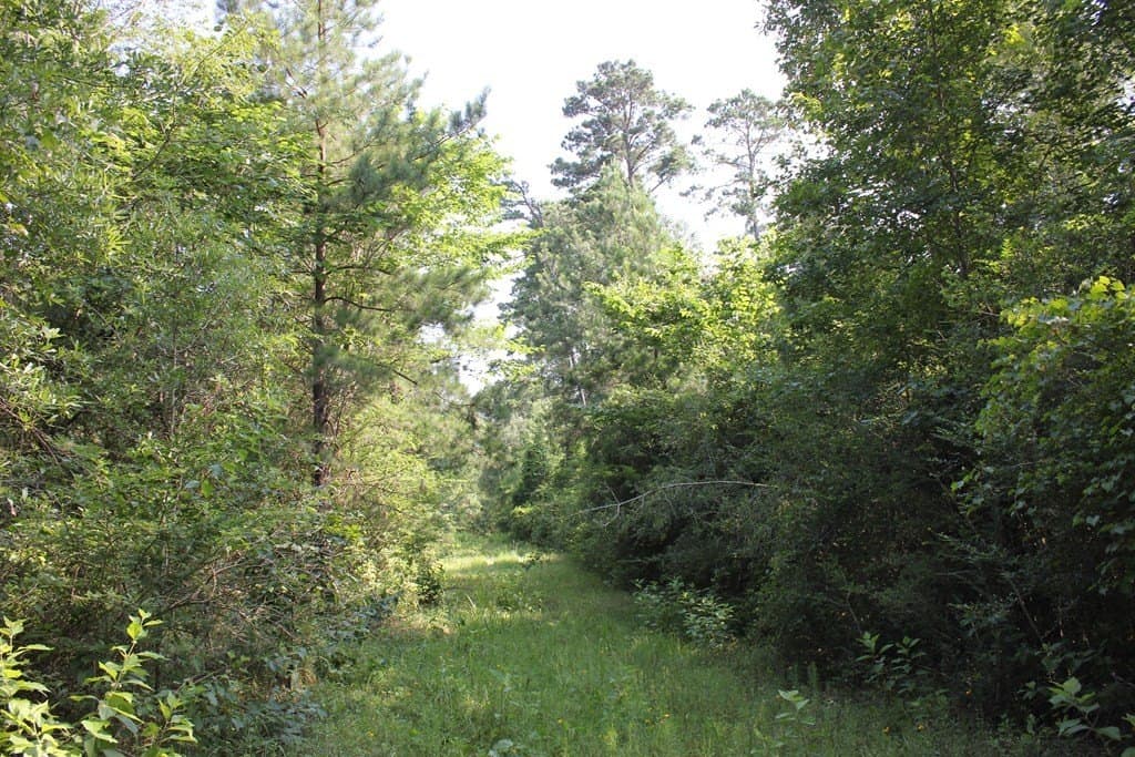 45 acres in Texas County - photo 7