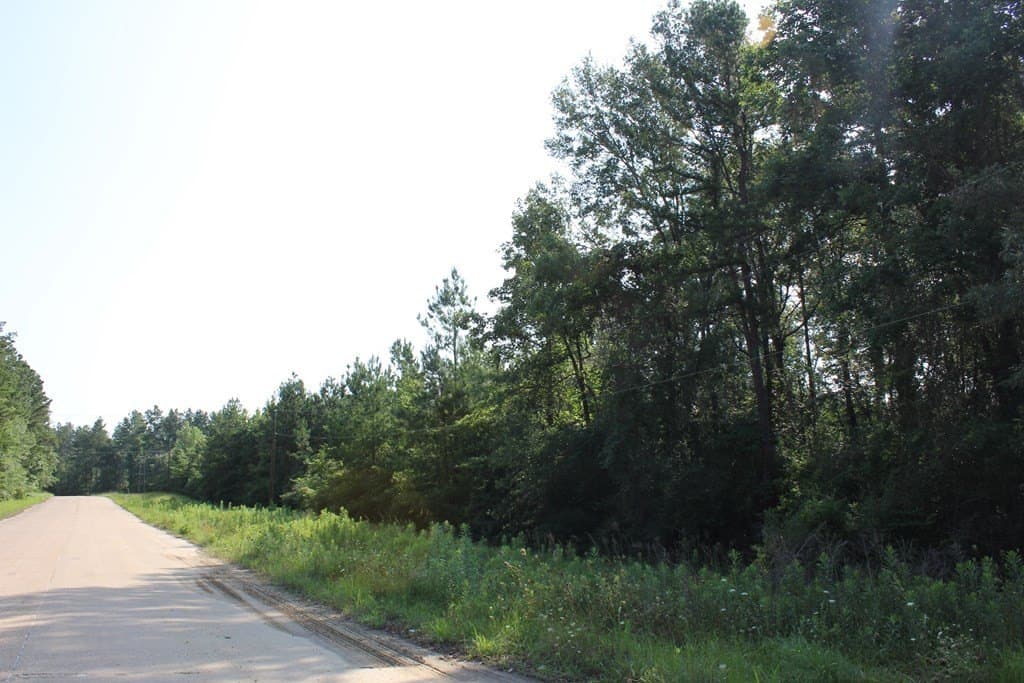 45 acres in Texas County - photo 16