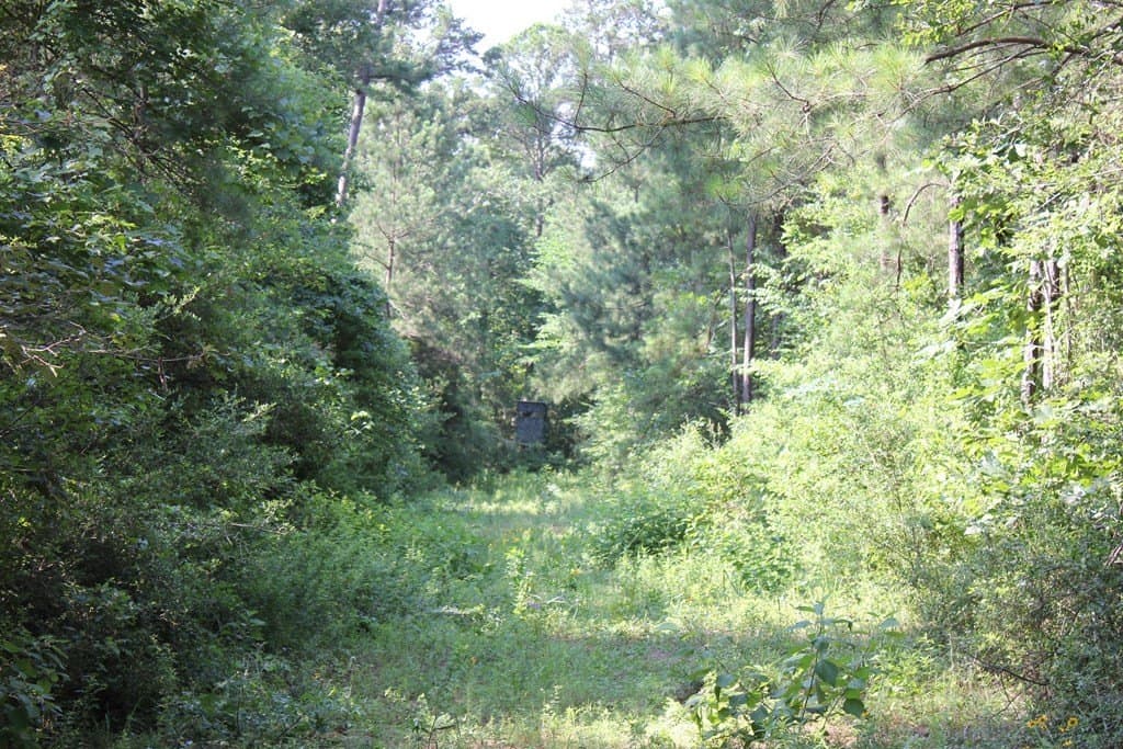 45 acres in Texas County - photo 13