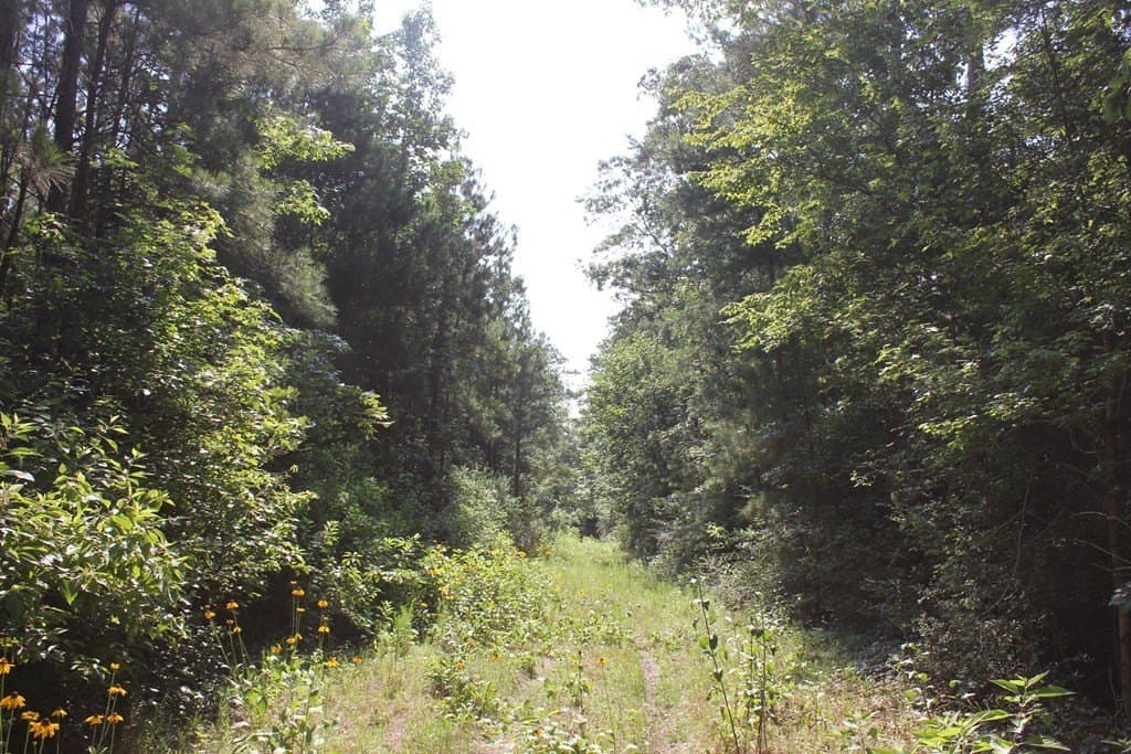 45 acres in Texas County - photo 11