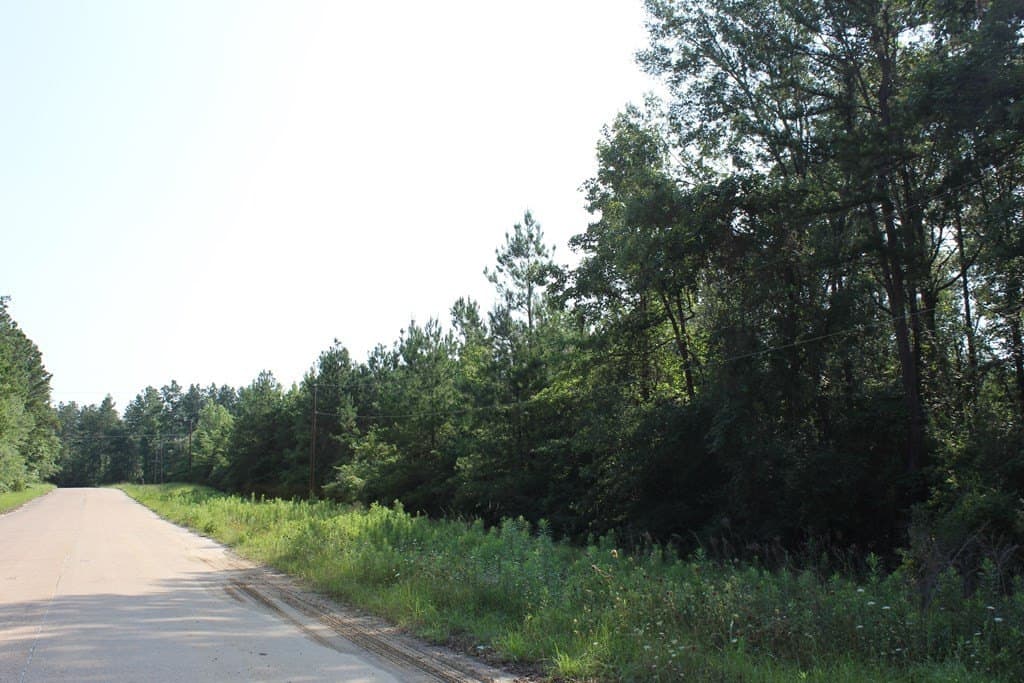 45 acres in Texas County - photo 14