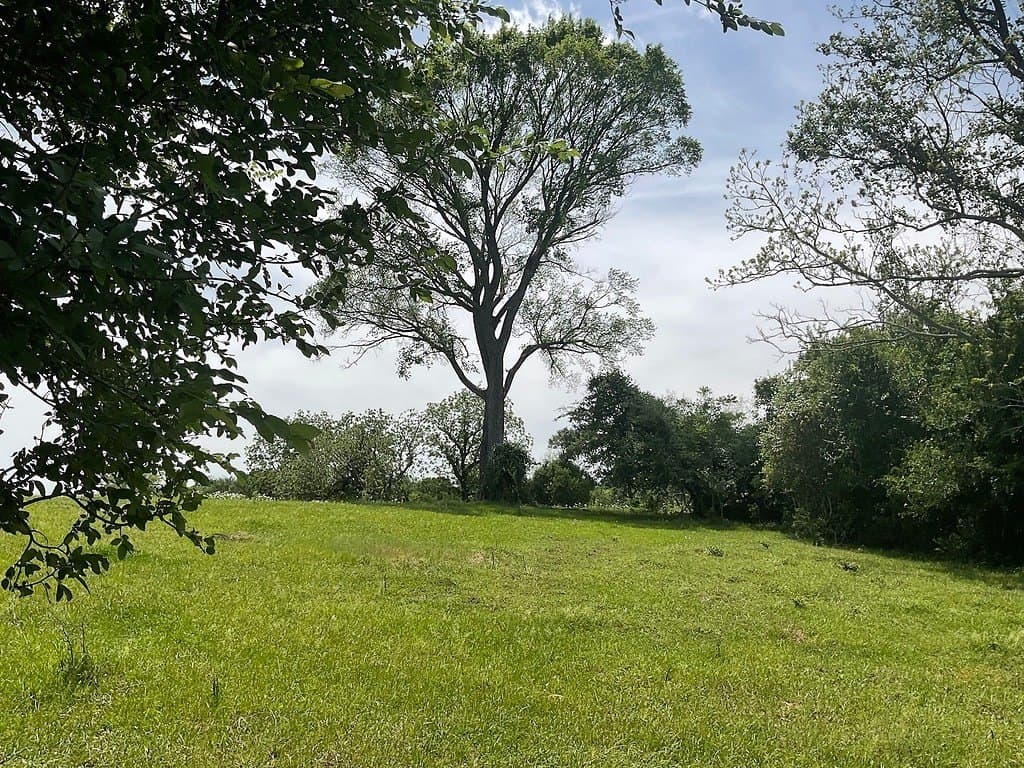 42 acres in Washington County