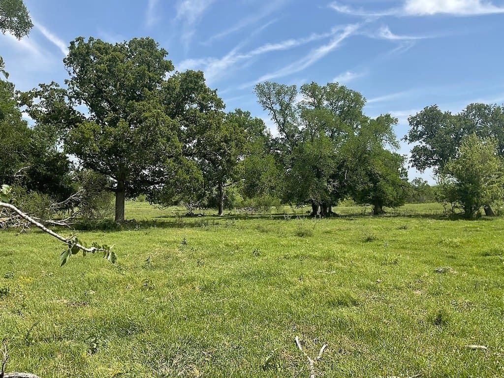 42 acres in Washington County - photo 10