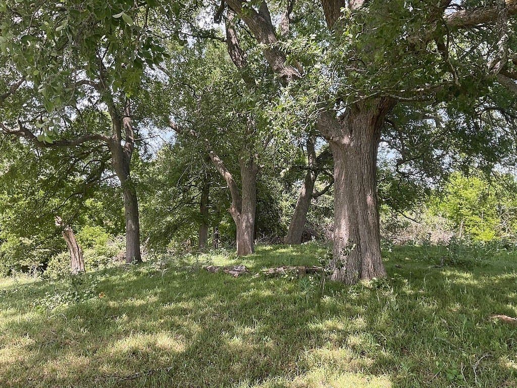 42 acres in Washington County - photo 11