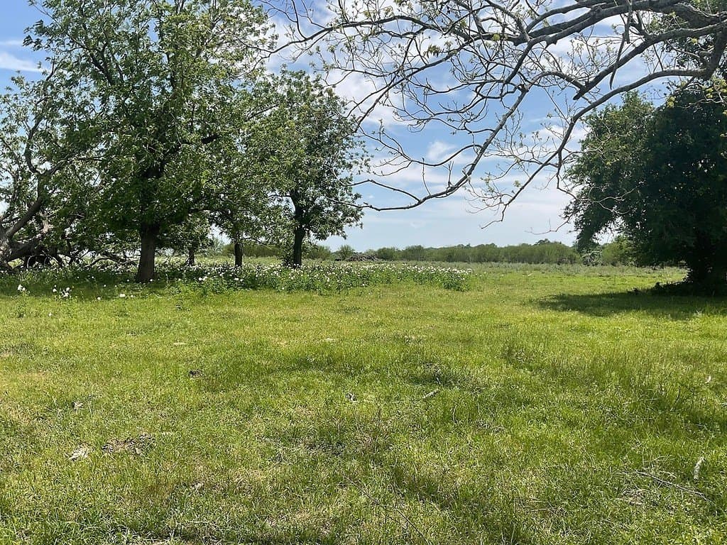 42 acres in Washington County gallery image 3