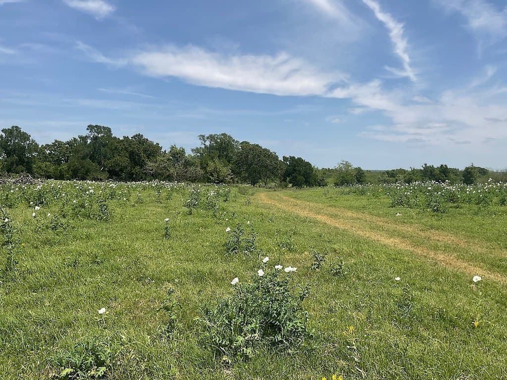 42 acres in Washington County - photo 9