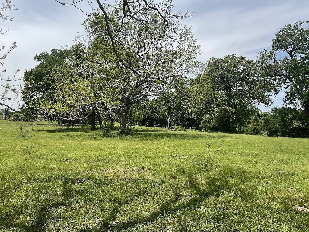 42 acres in Washington County gallery image 4