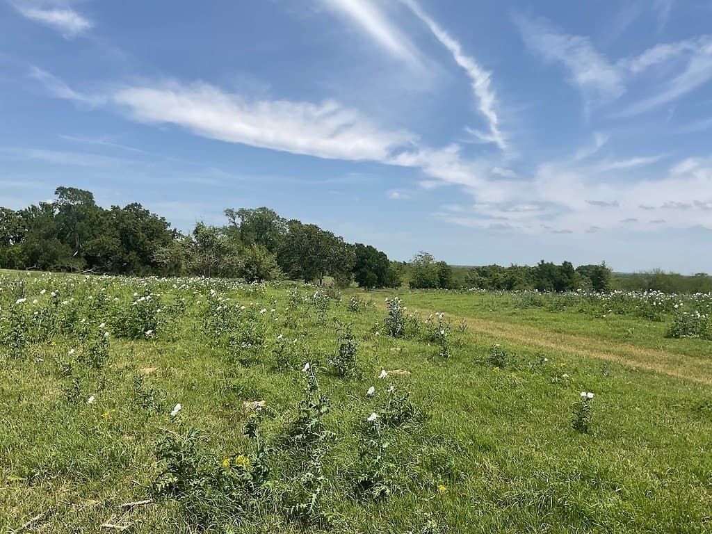 42 acres in Washington County - photo 8