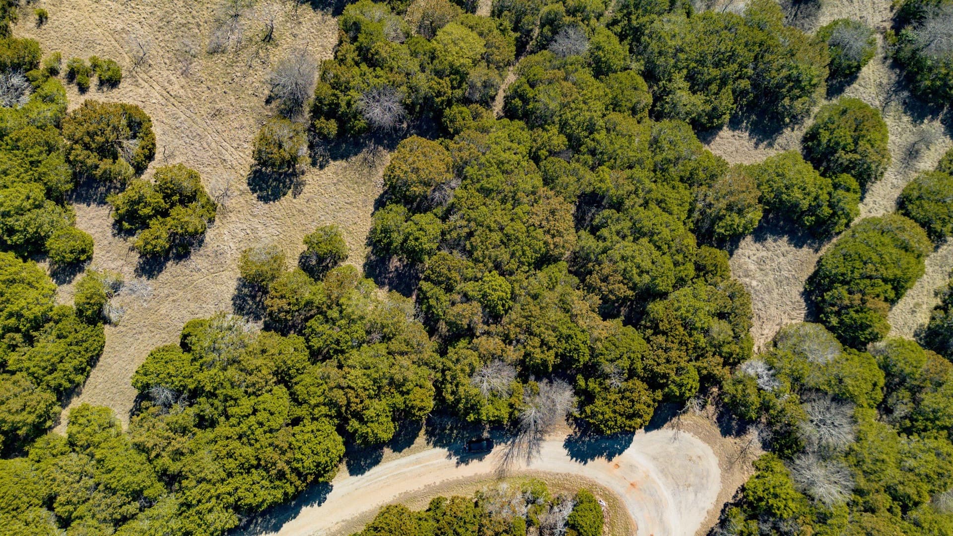 0.29 acres in Hill County - photo 20