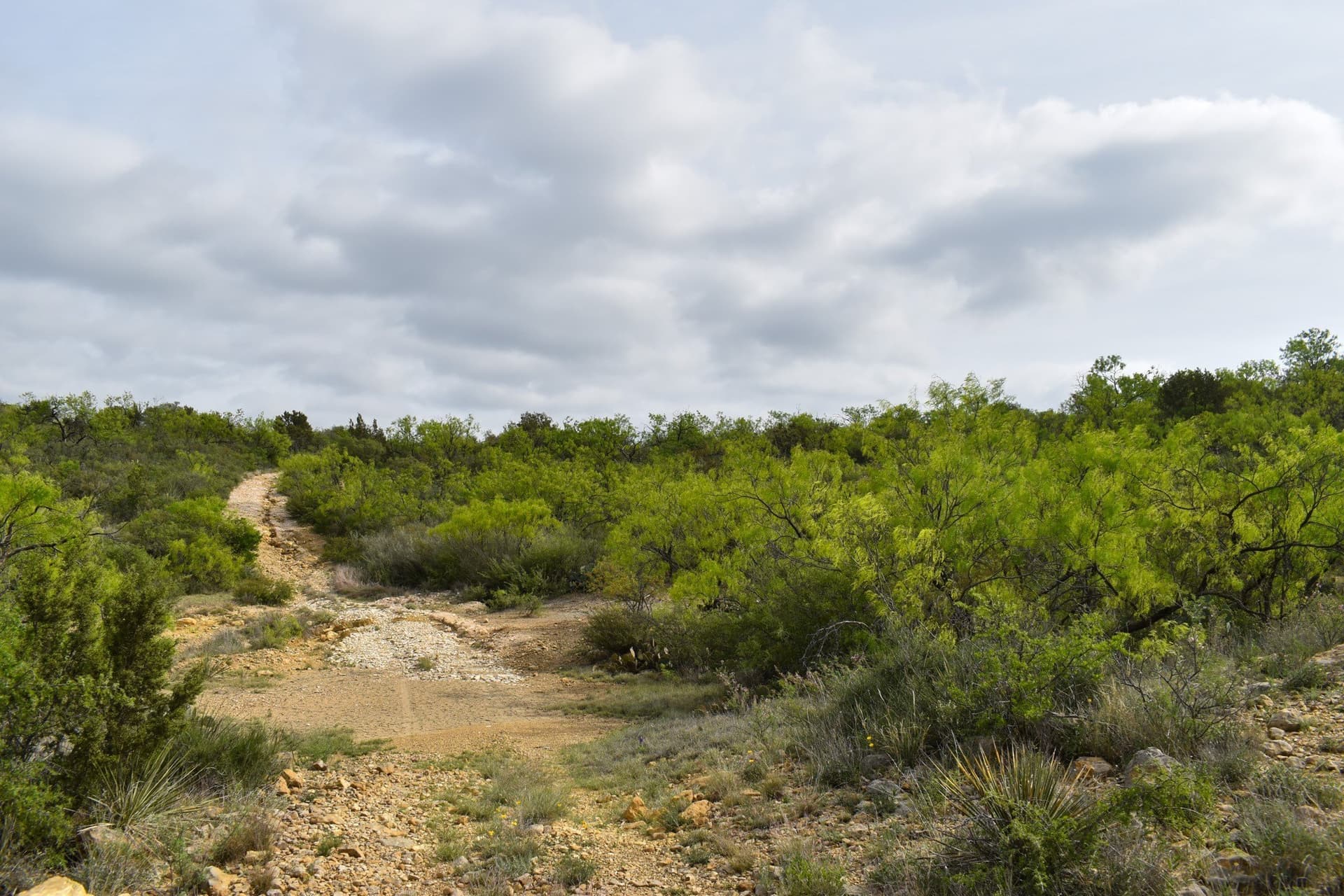 315.54 acres in Coleman County - photo 12