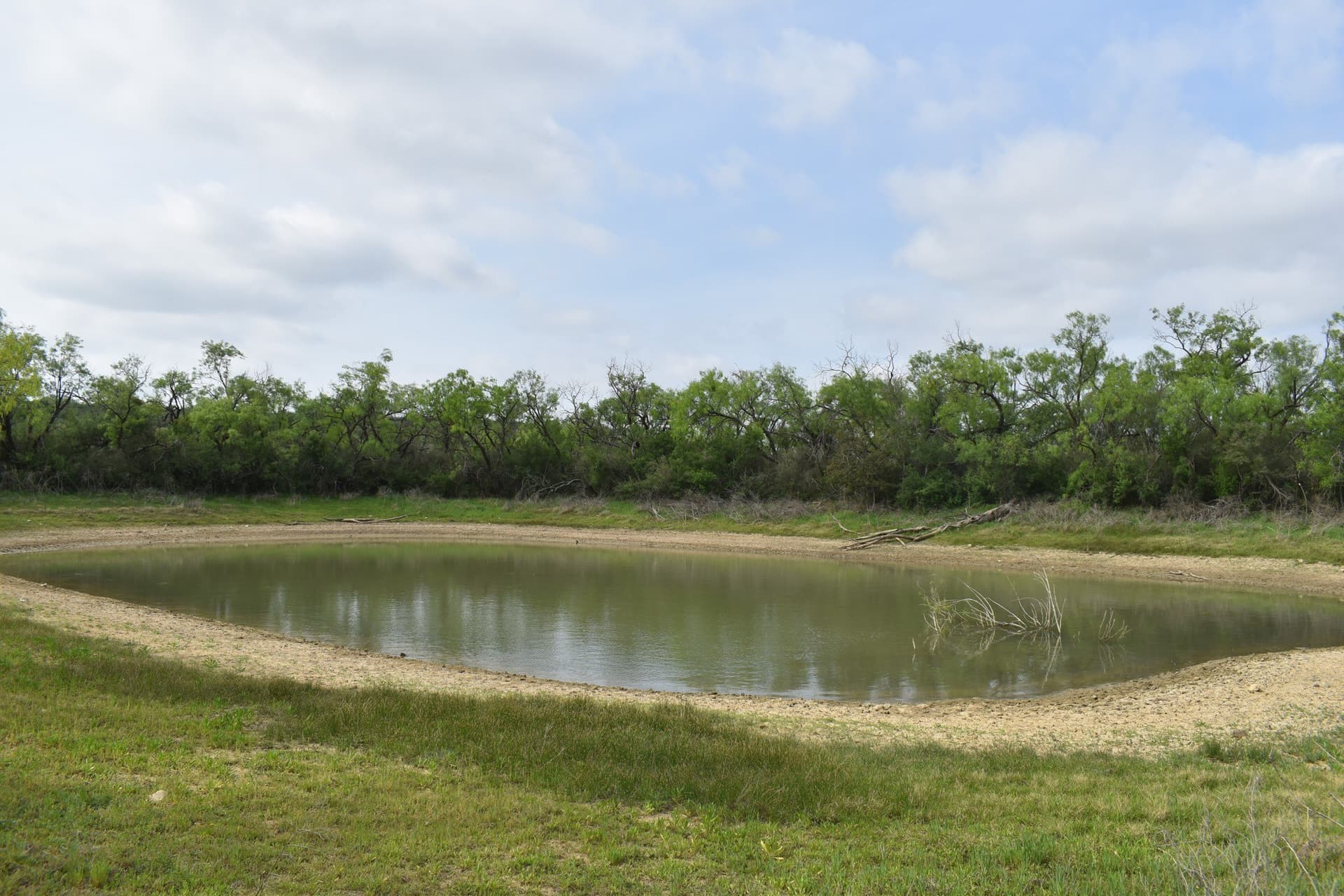 315.54 acres in Coleman County - photo 11