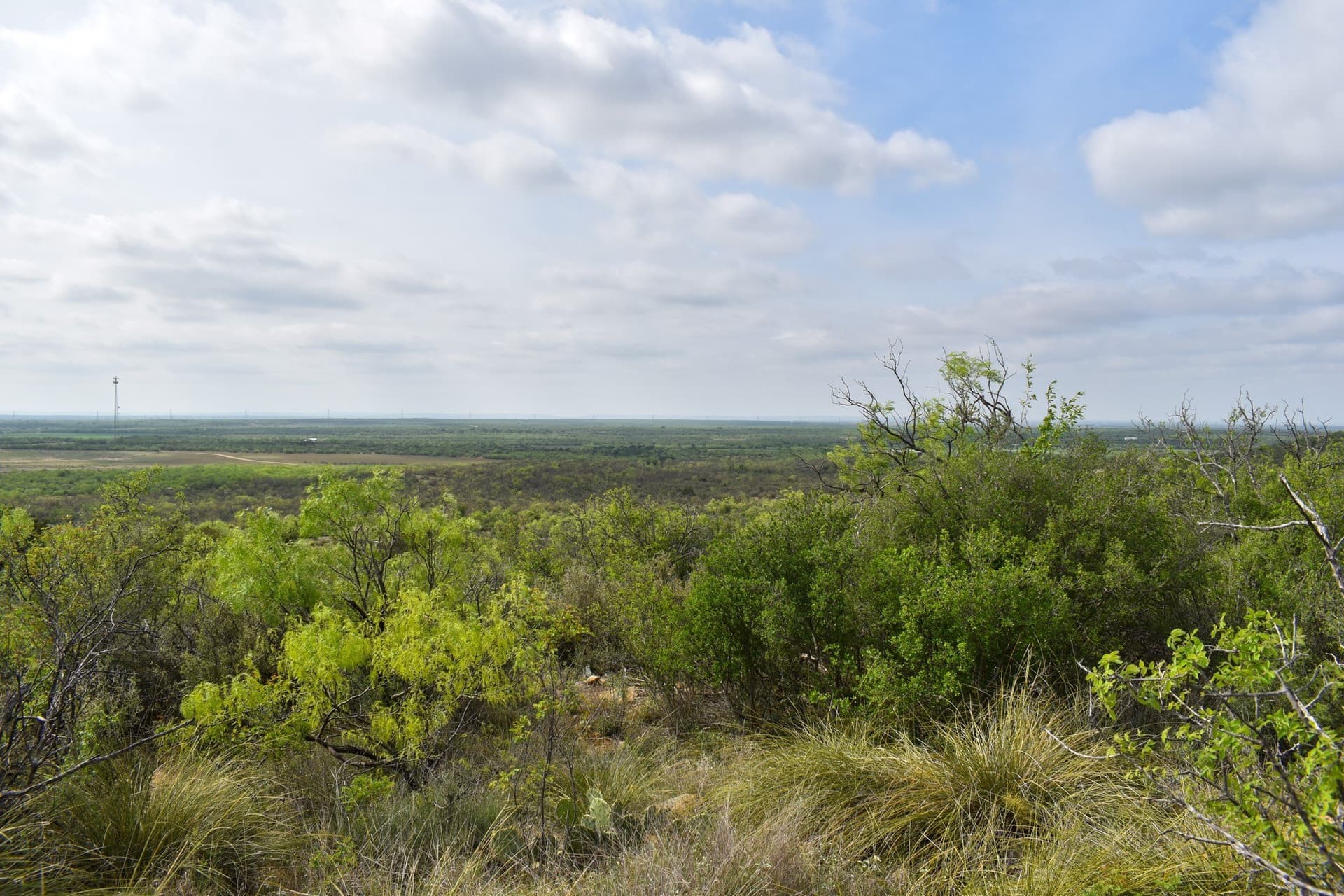315.54 acres in Coleman County - photo 31