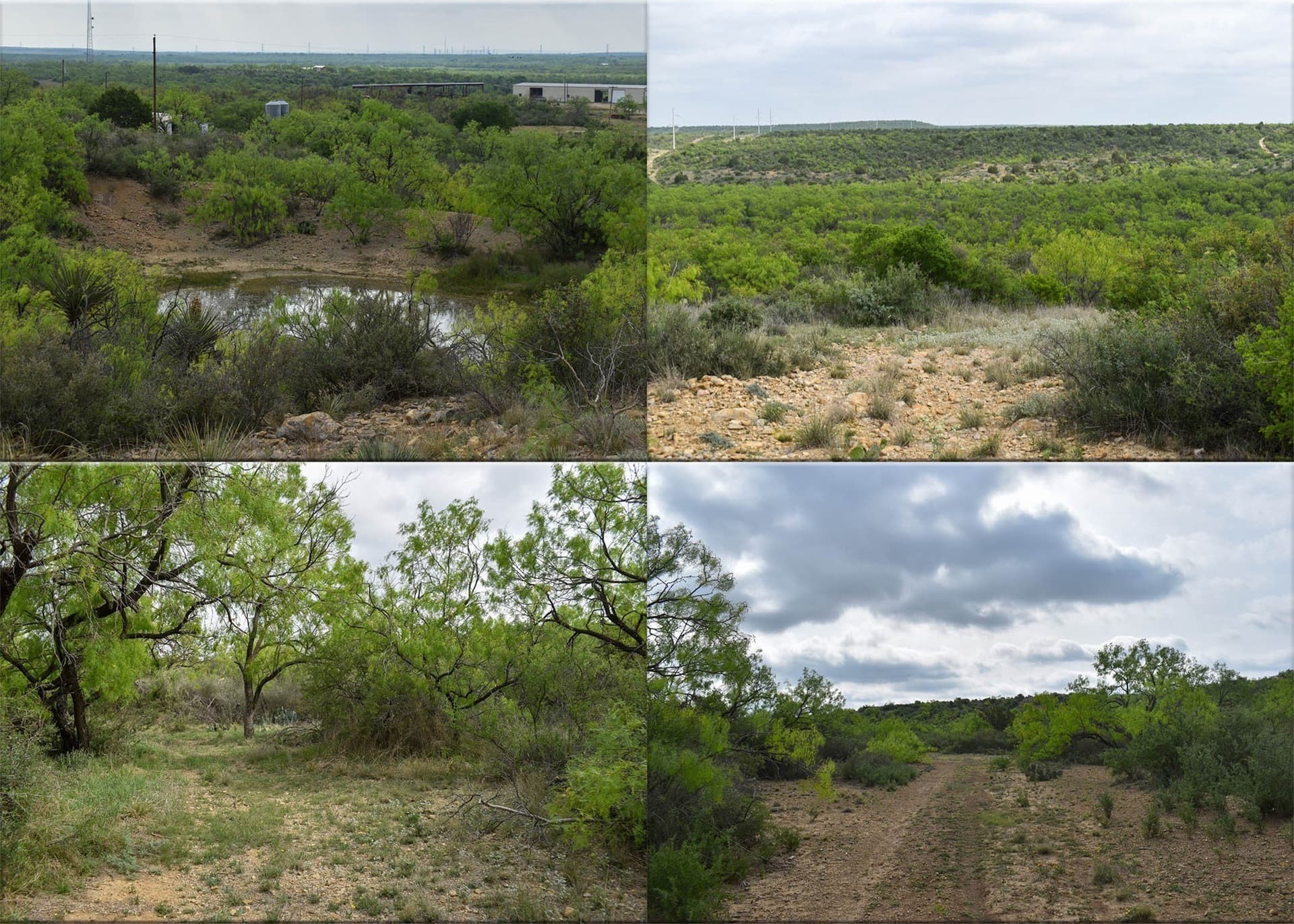 315.54 acres in Coleman County - photo 9