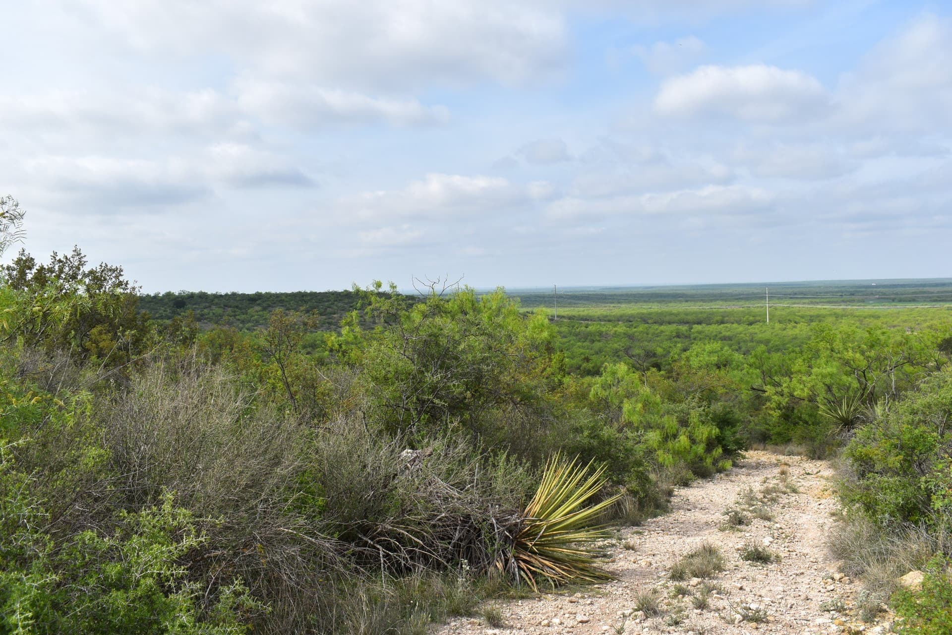 315.54 acres in Coleman County - photo 13