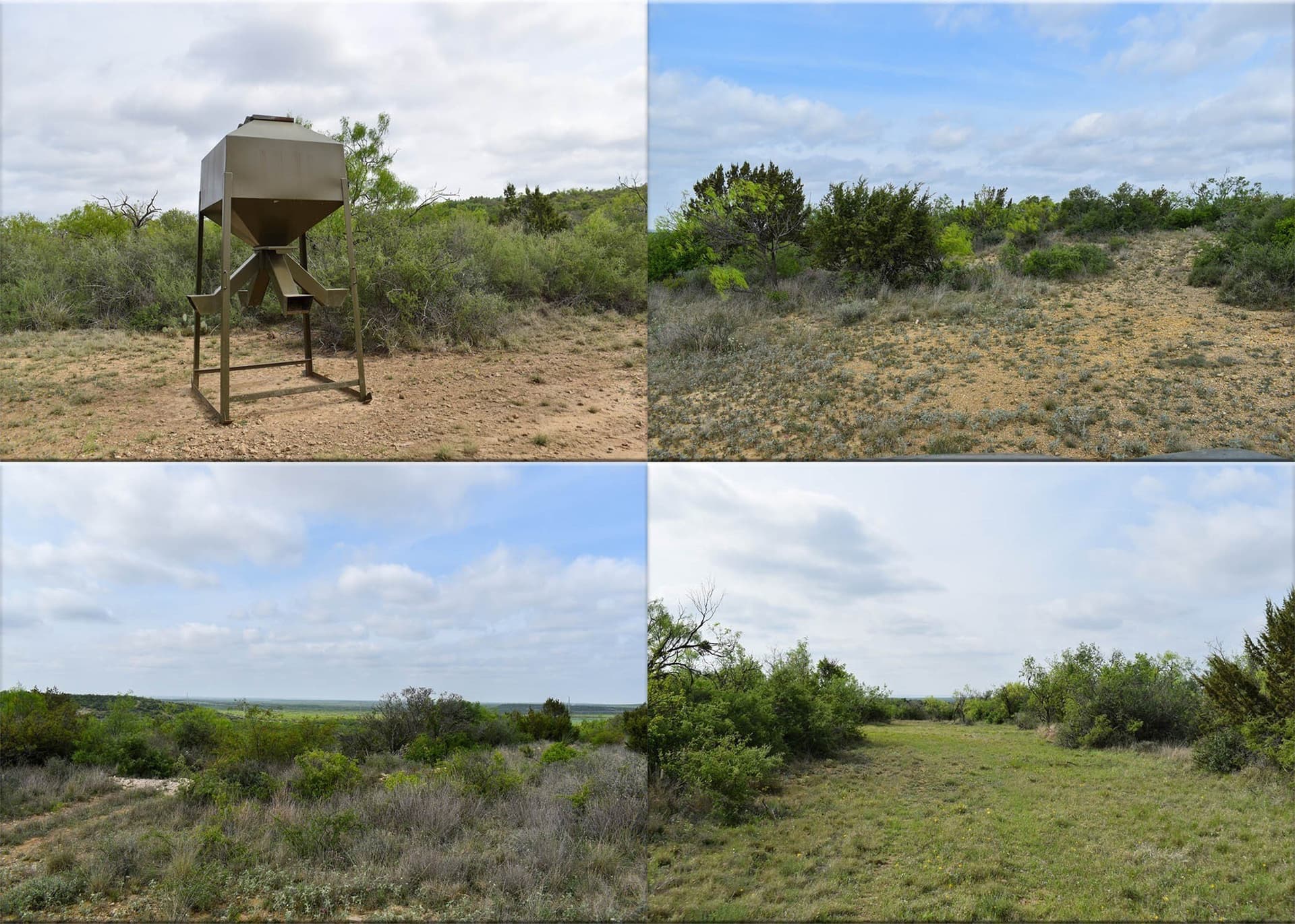 315.54 acres in Coleman County - photo 10