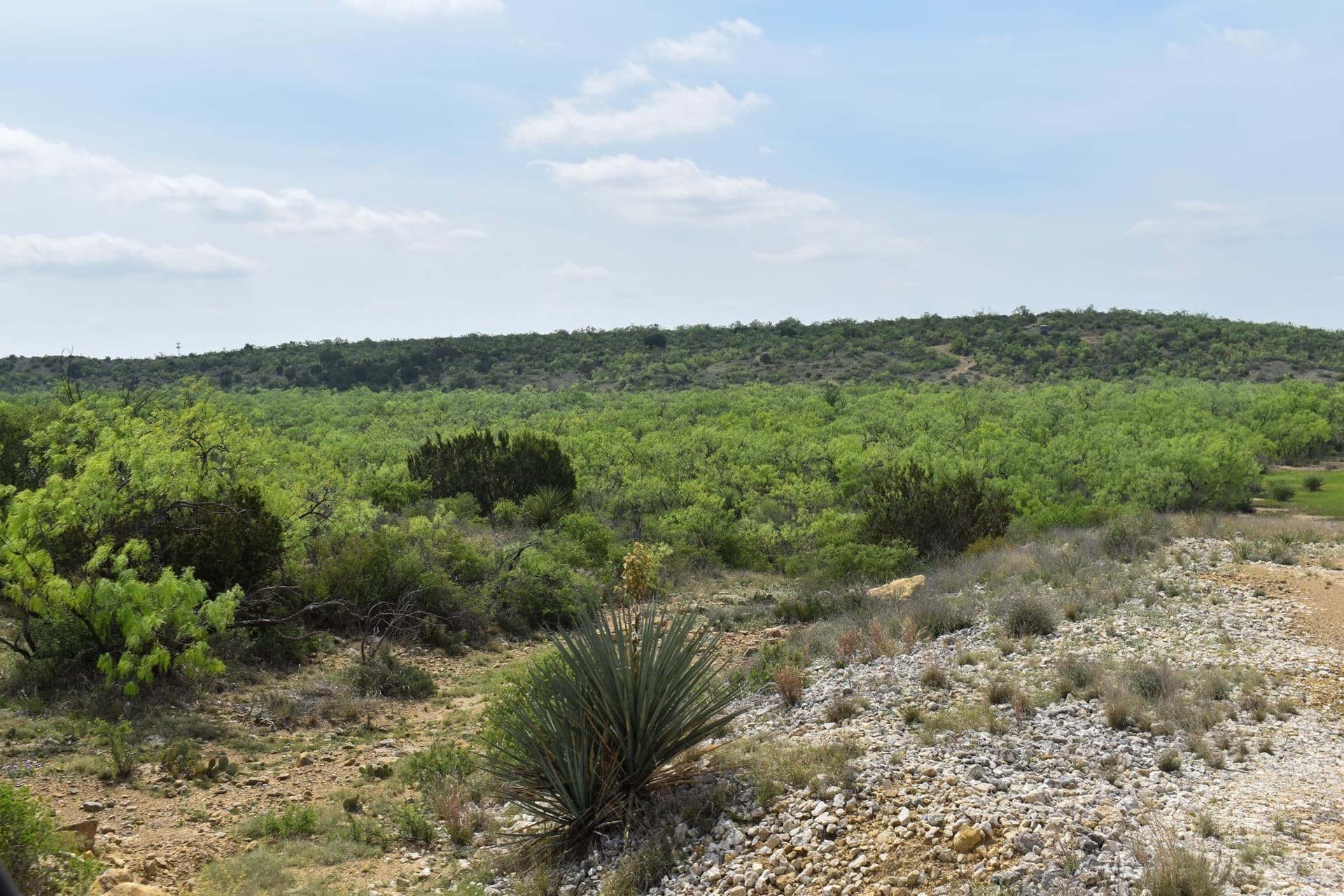 315.54 acres in Coleman County - photo 18