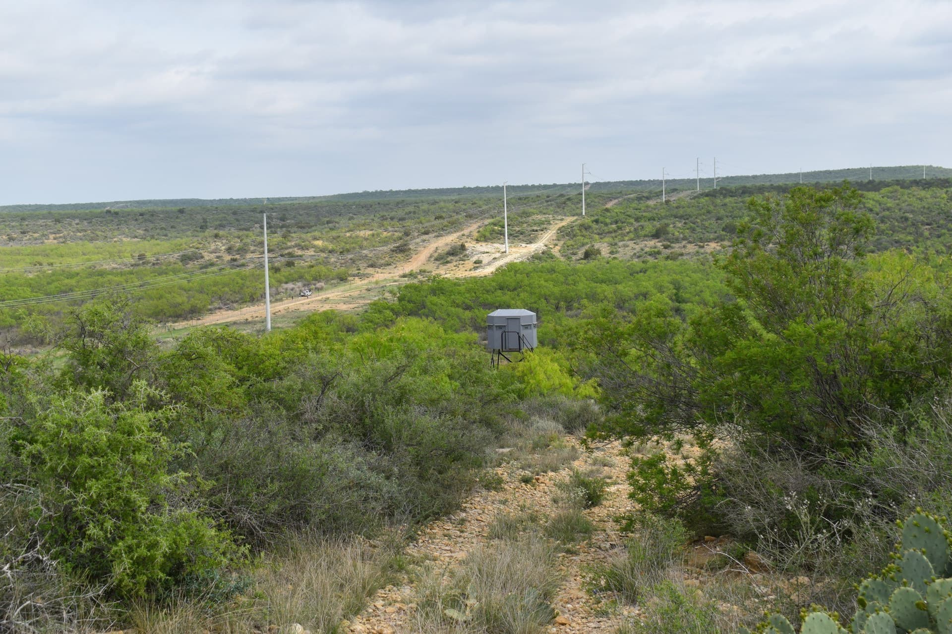 315.54 acres in Coleman County - photo 8