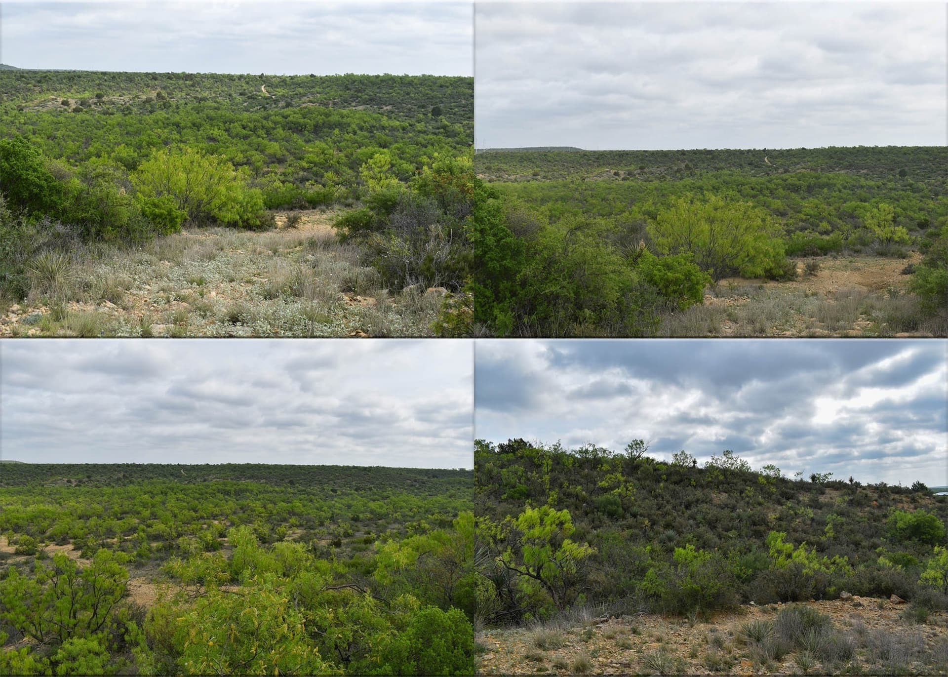 315.54 acres in Coleman County - photo 27