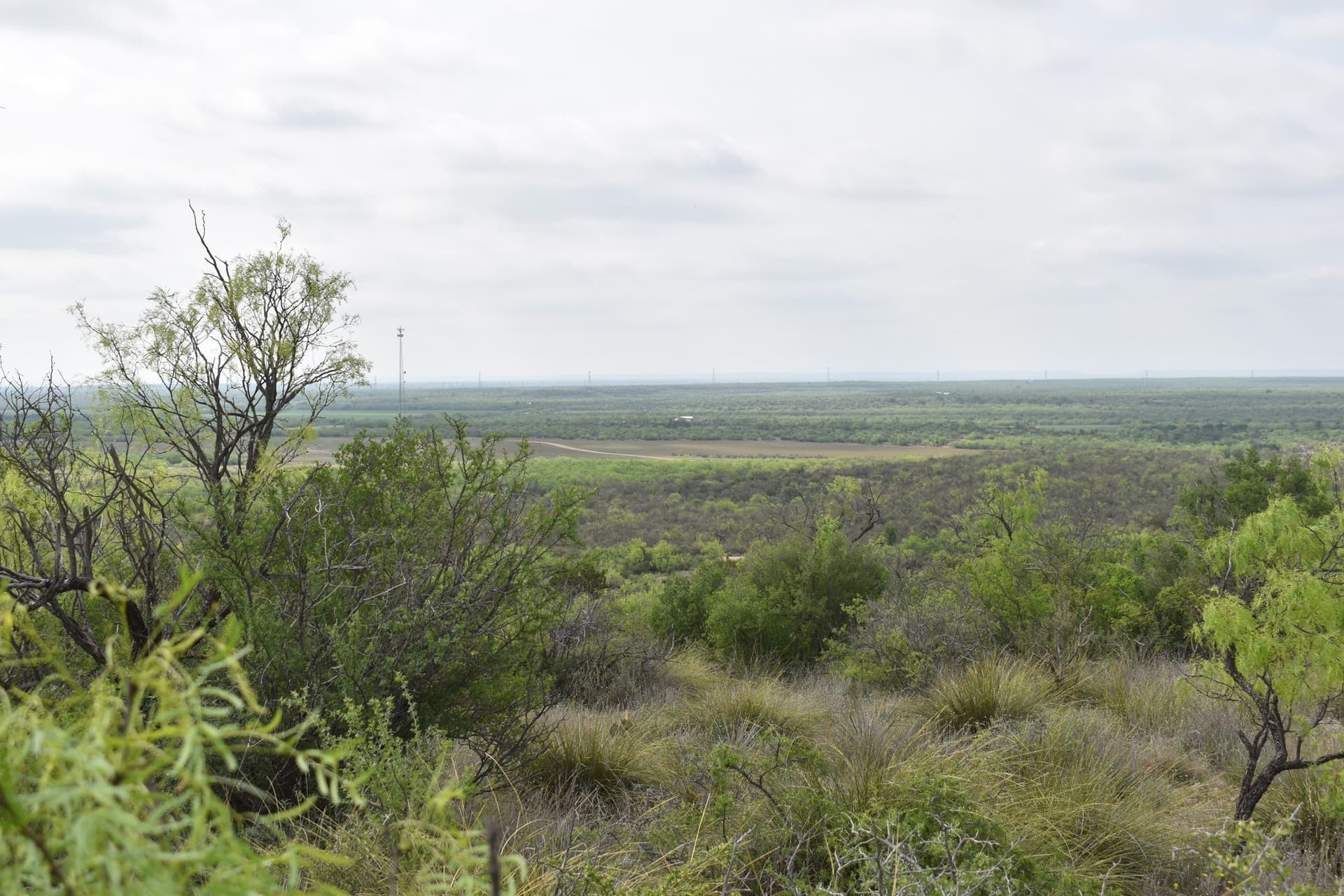 315.54 acres in Coleman County - photo 30