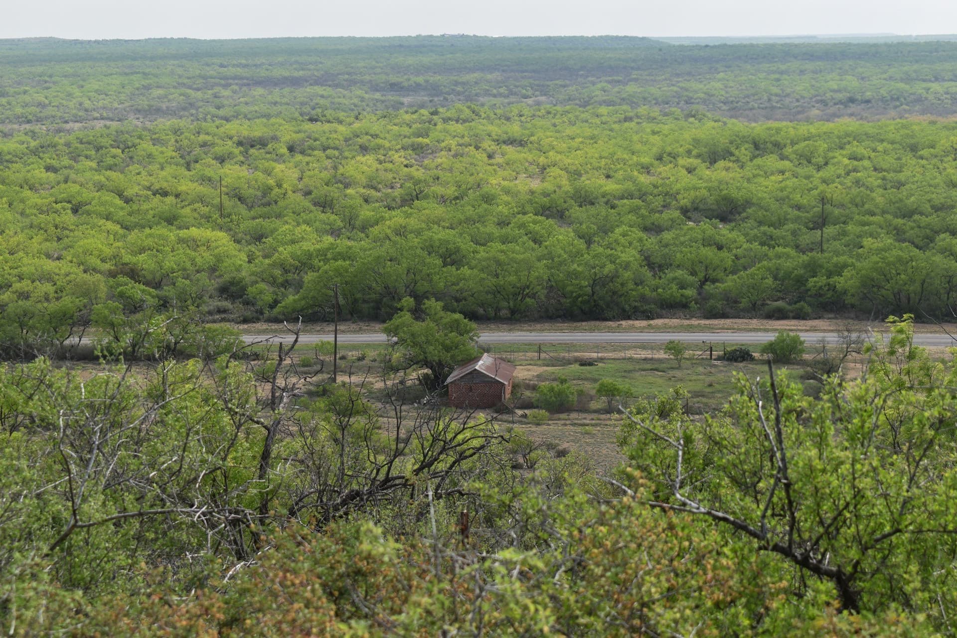 315.54 acres in Coleman County - photo 21