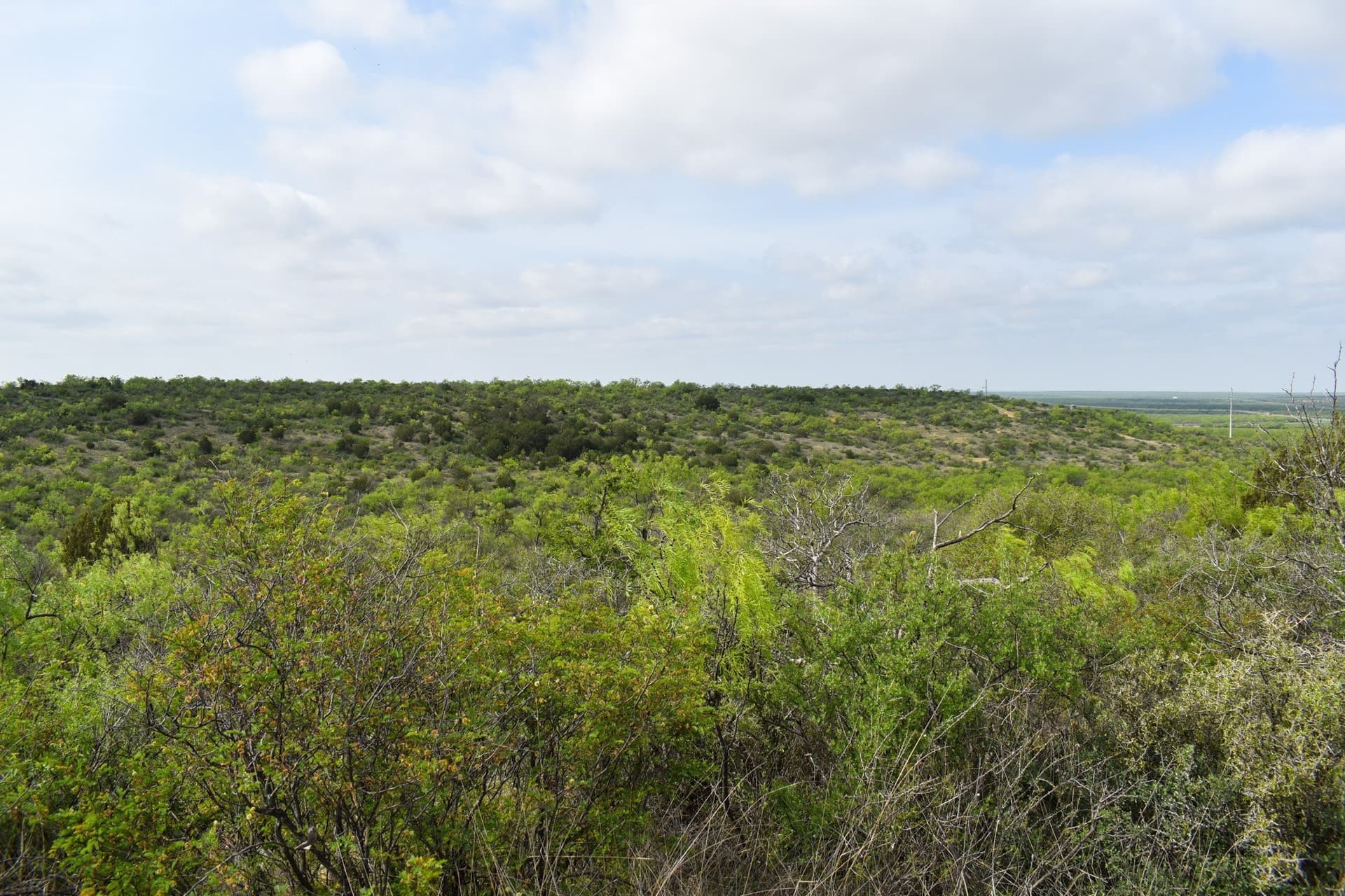 315.54 acres in Coleman County - photo 29