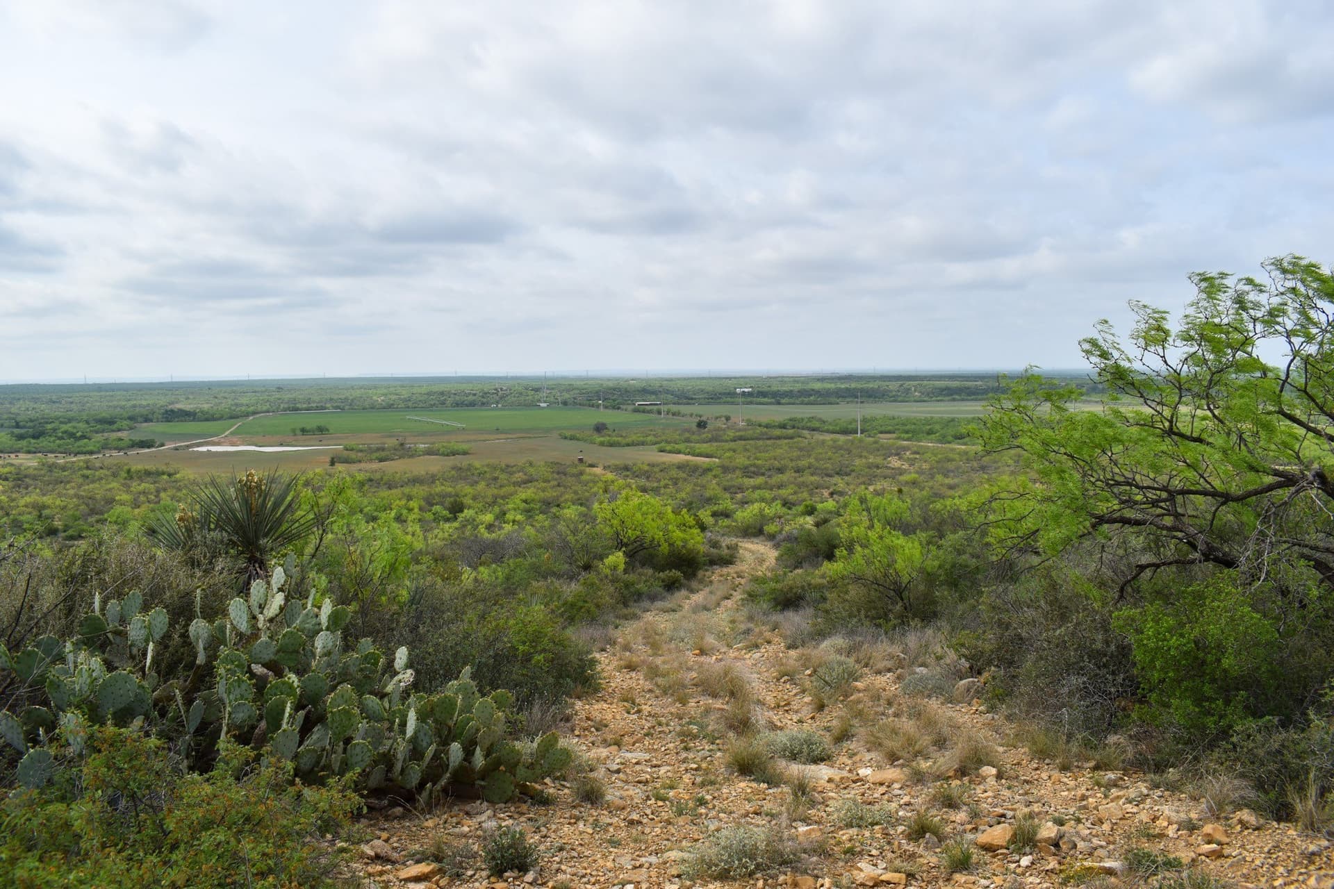 315.54 acres in Coleman County - photo 2