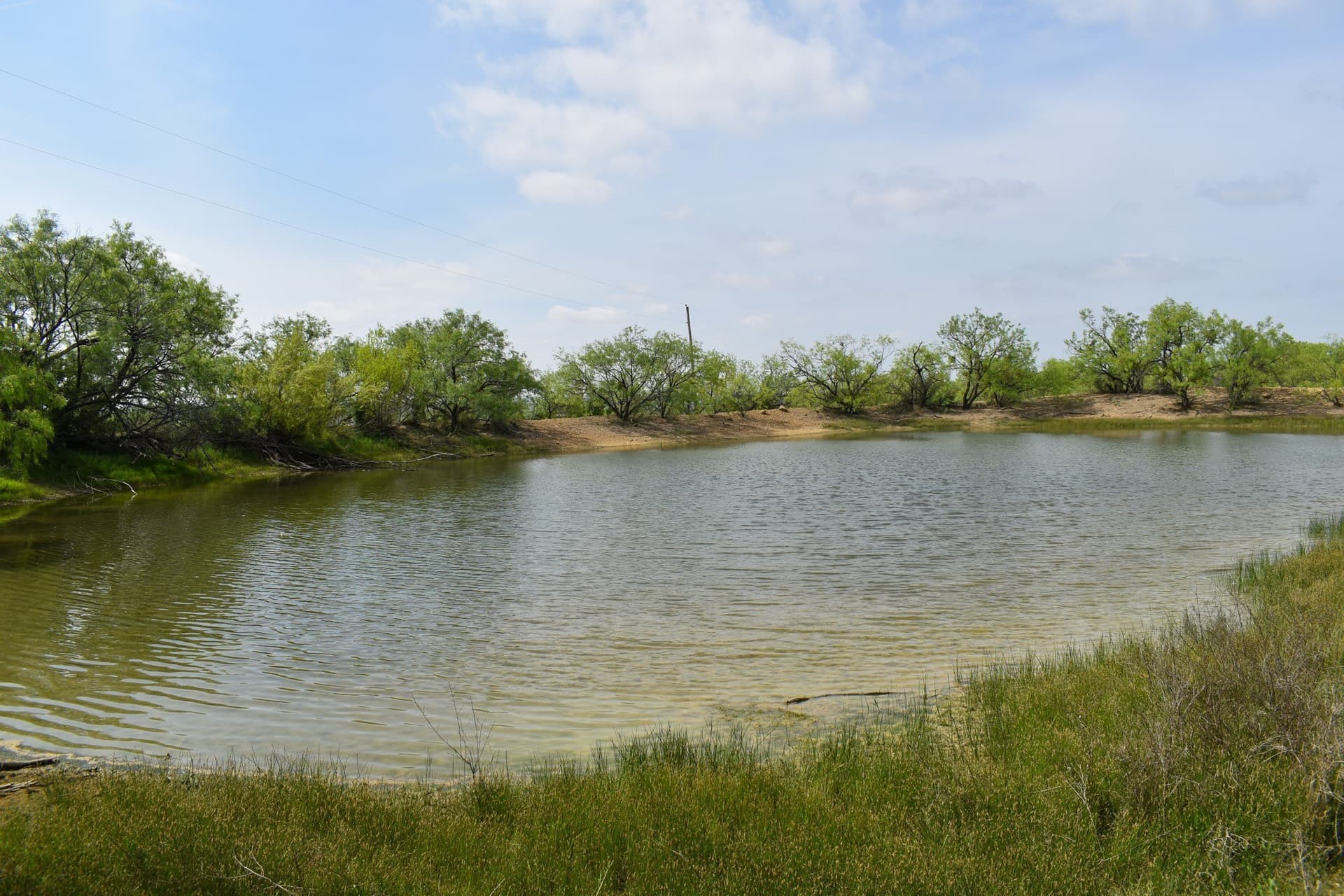 315.54 acres in Coleman County