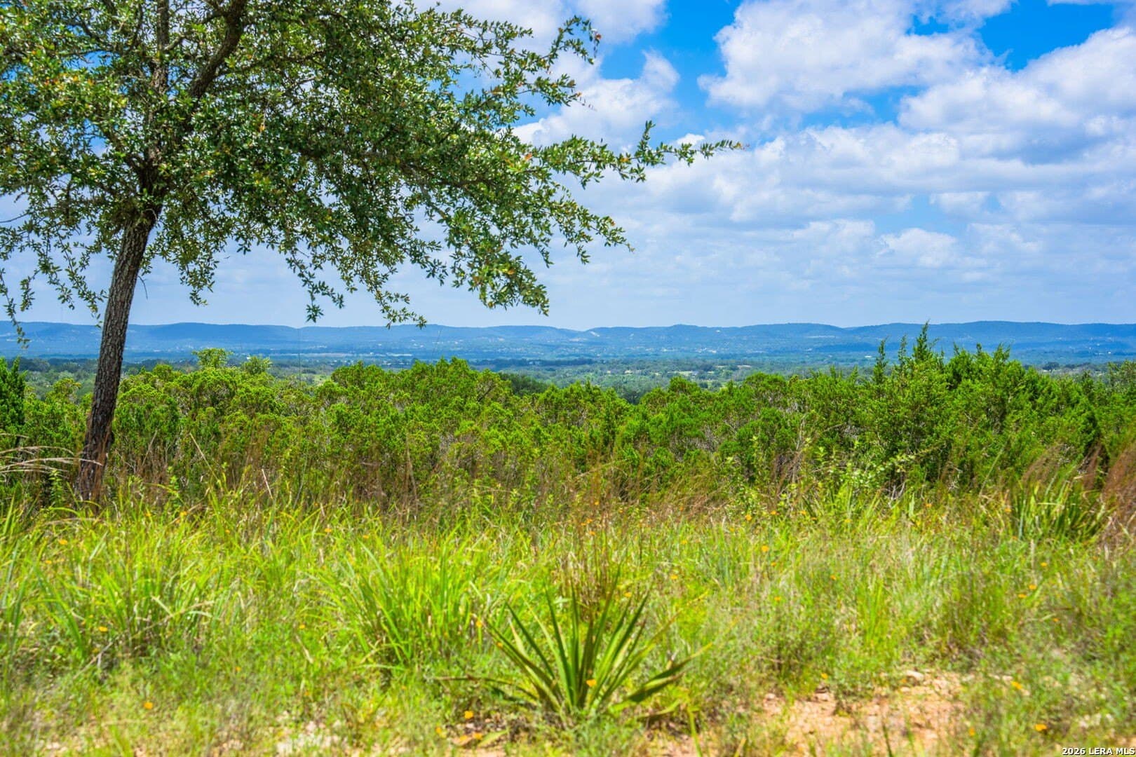 9.75 acres in Bandera County - photo 7