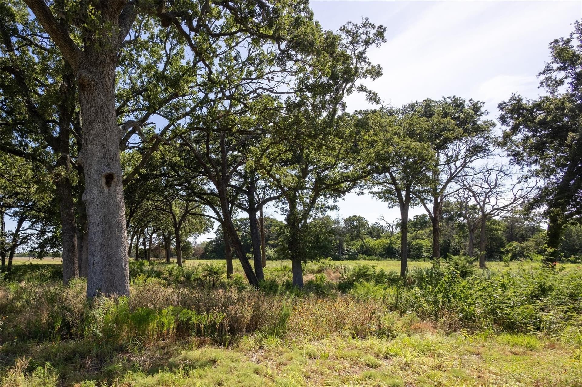 16 acres in Hunt County - photo 18