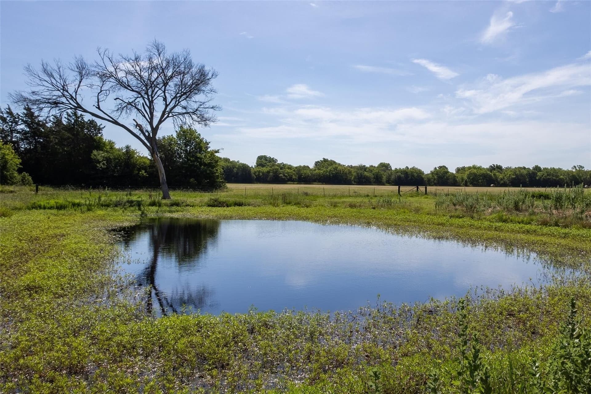 16 acres in Hunt County - photo 15