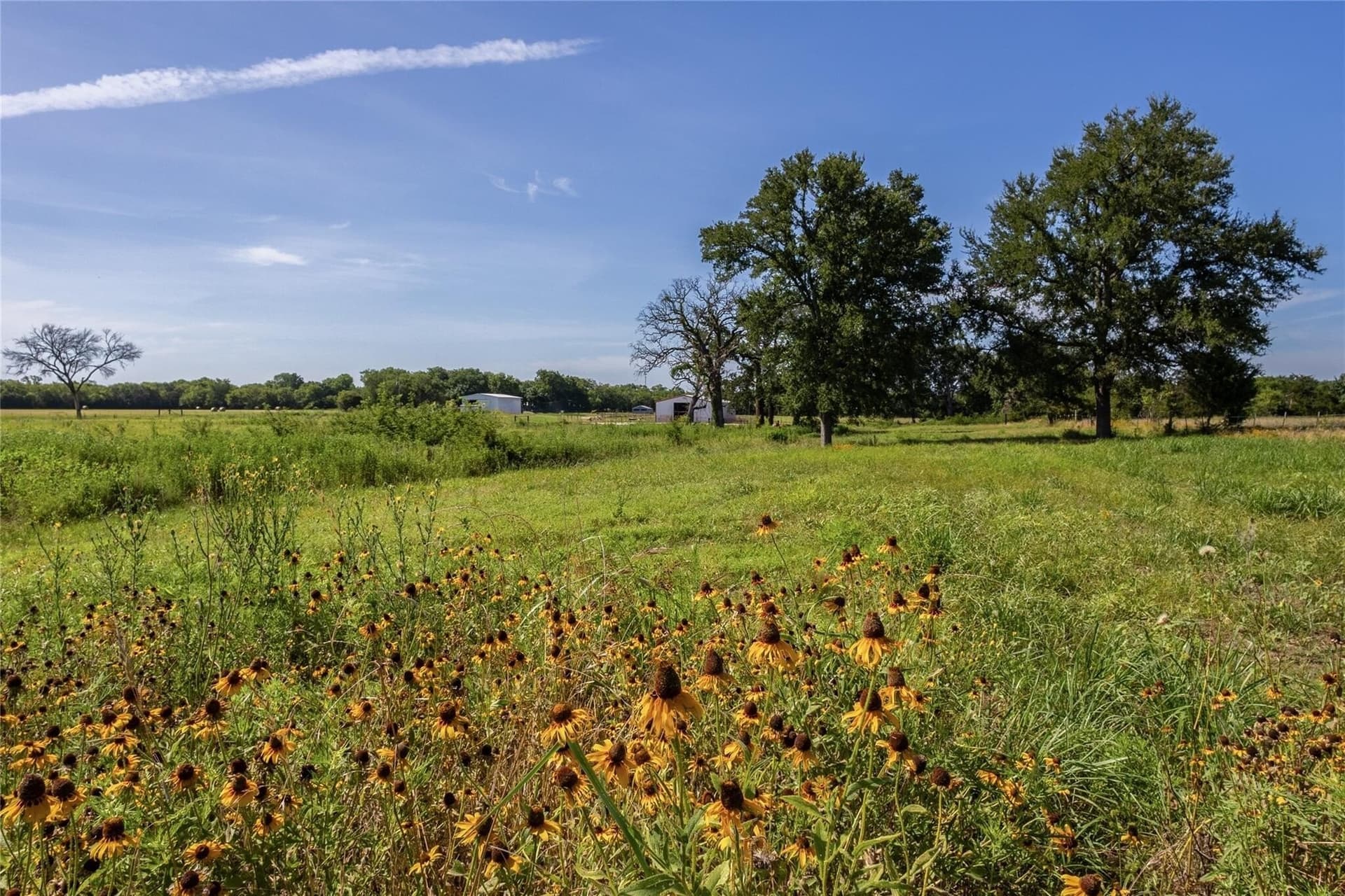 16 acres in Hunt County - photo 19
