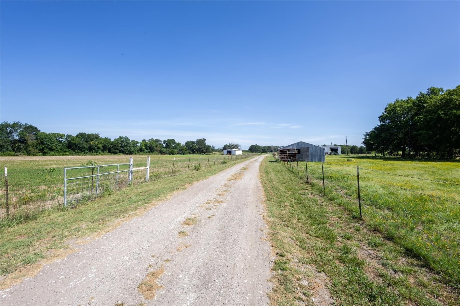 16 acres in Hunt County gallery image 3