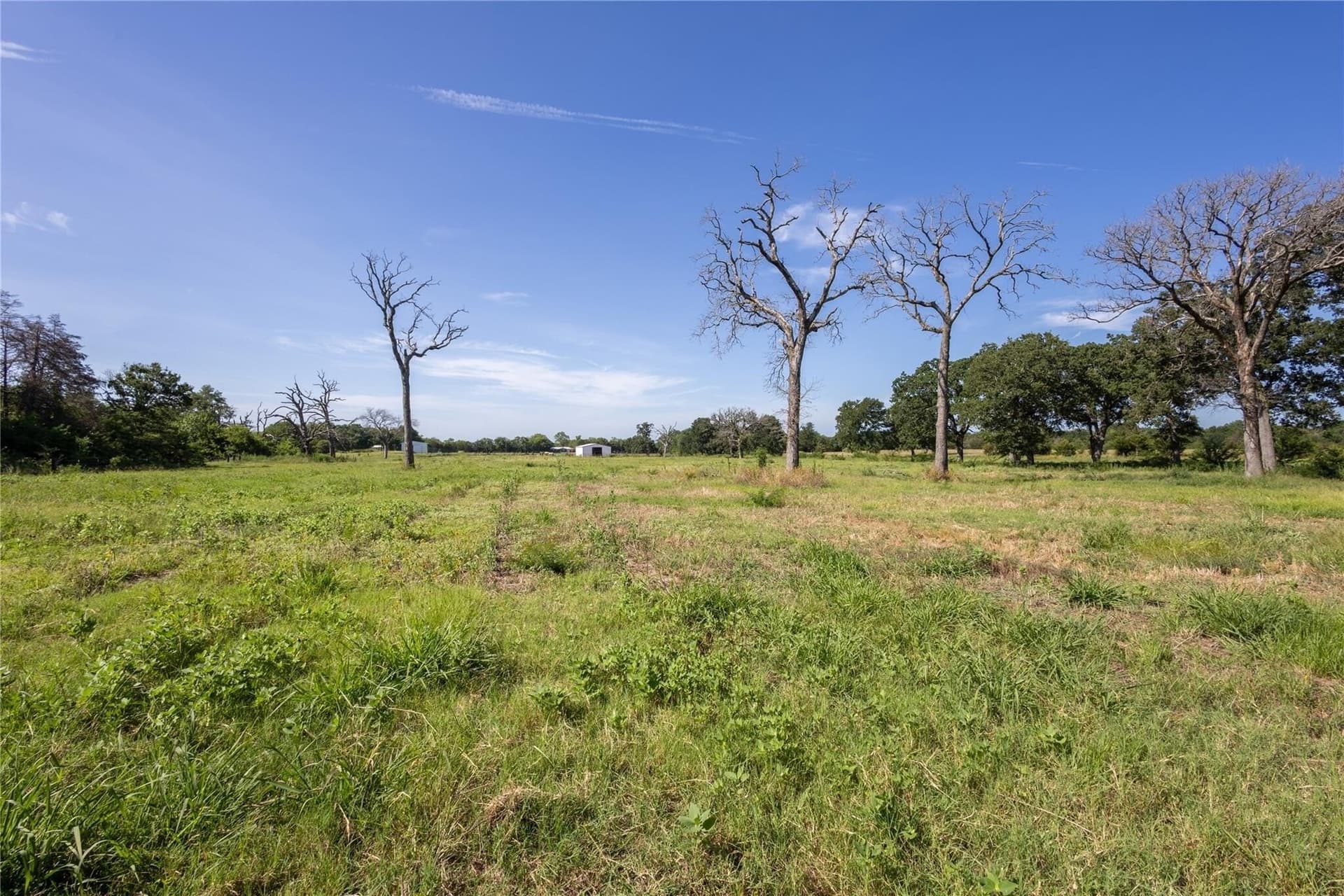 16 acres in Hunt County - photo 21