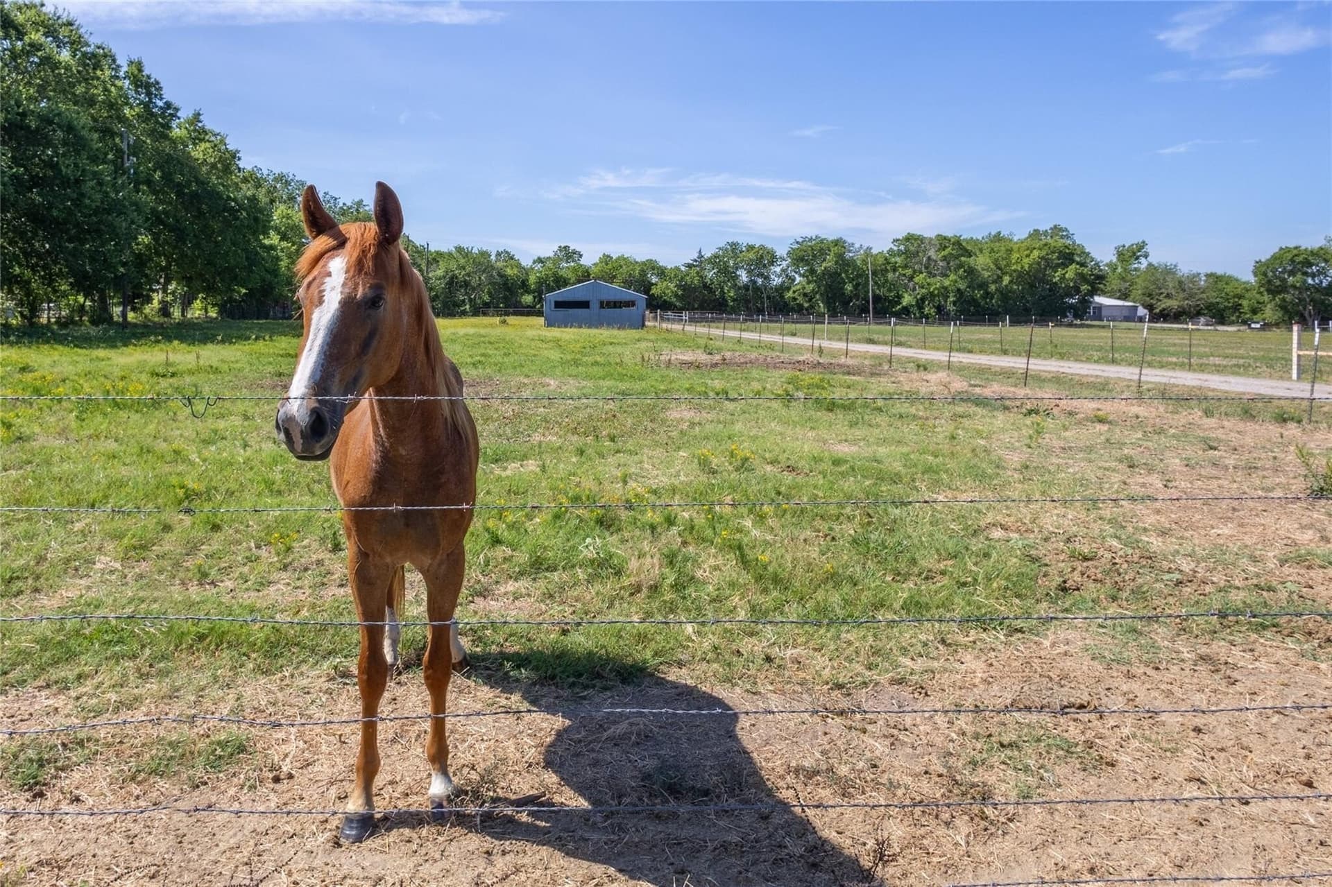 16 acres in Hunt County - photo 11